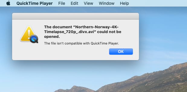 QuickTime can't play files from DivX codec