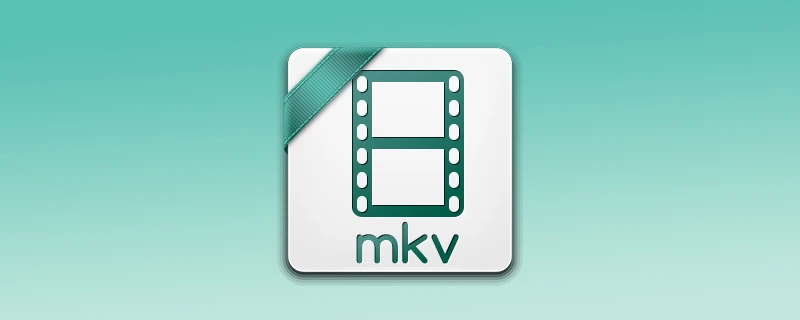 MKV Format icon