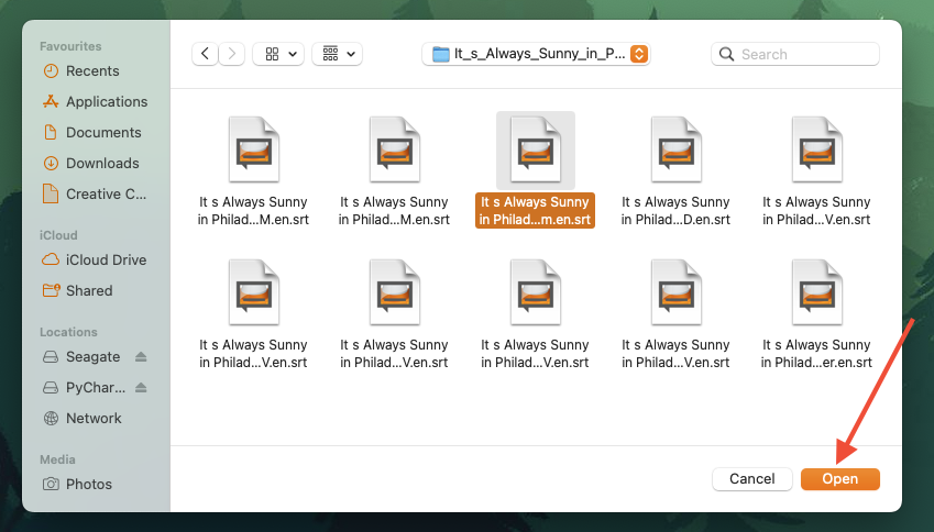 Folder with subtitles files