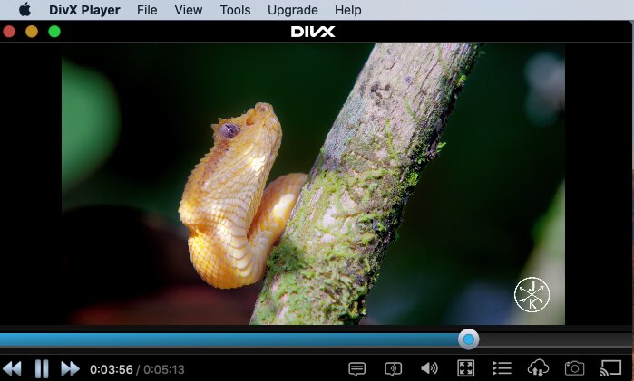 compare DivX