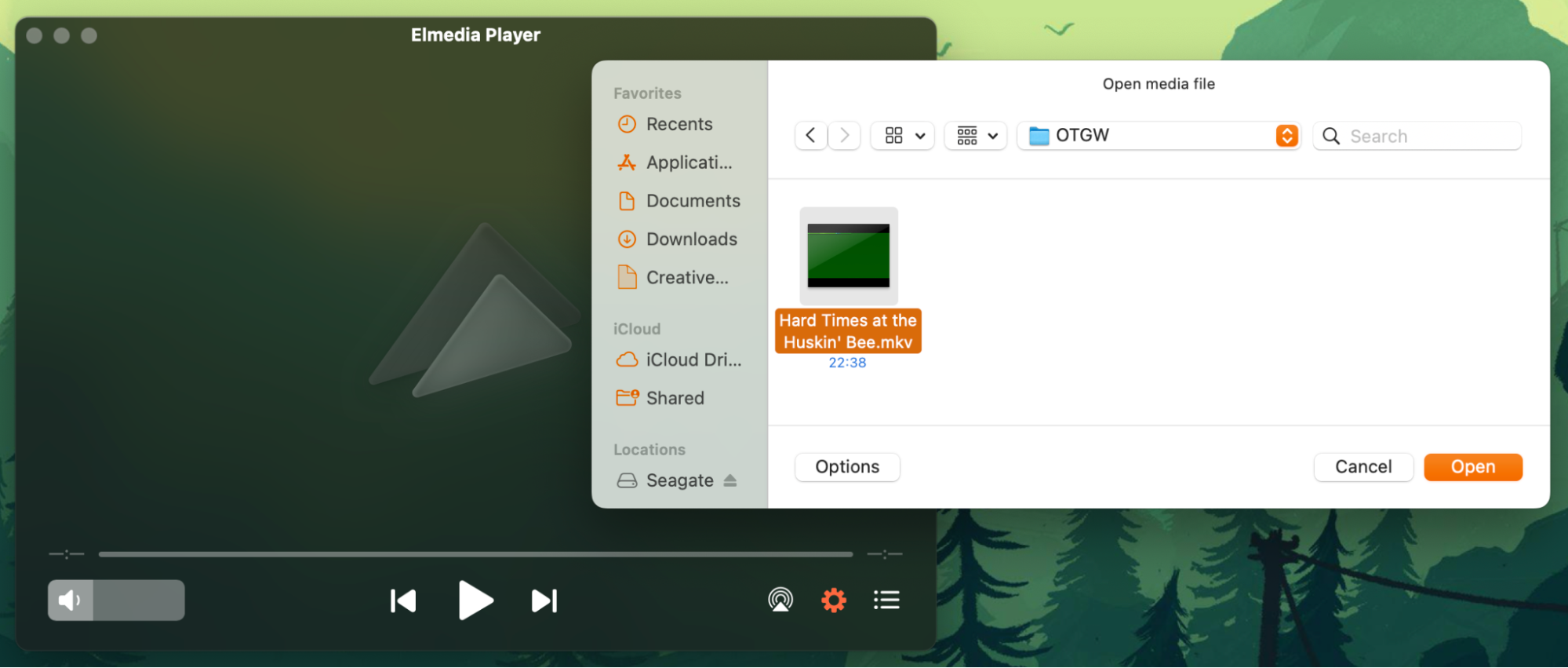 Elmedia Player interface