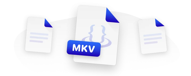MKV File Format