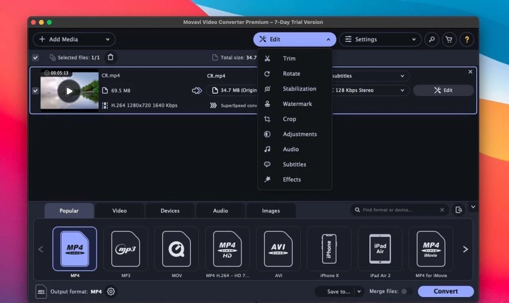 Movavi Video Converter Interface