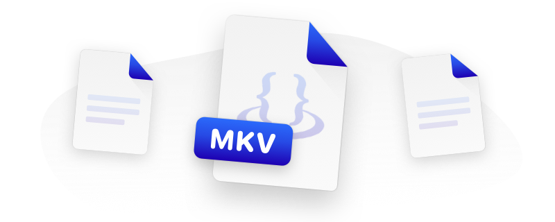 MKV file format