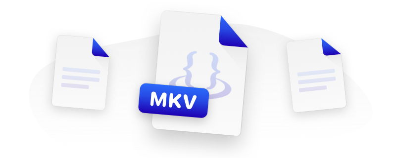 MKV File Format