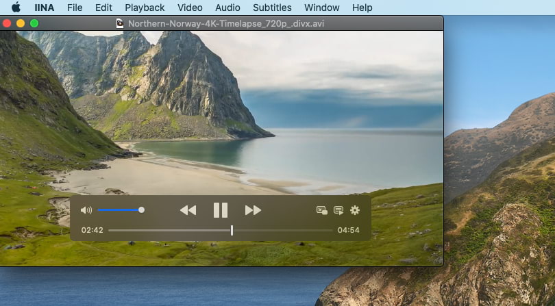 IINA DivX player Mac