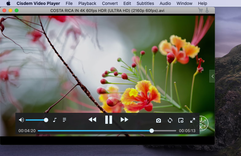 xvid codec mac