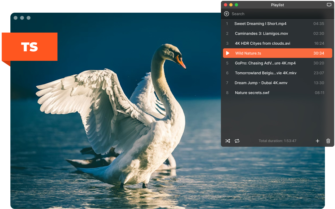 Elmedia TS player with playlist on macOS