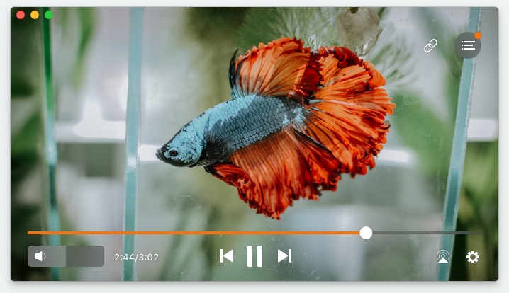 Advanced features of Elmedia Player PRO.