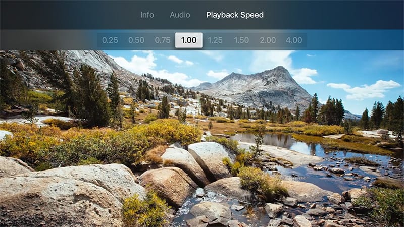 Video and audio player features